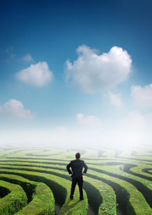 Image of a man standing above a hedge maze, surveying the horizon